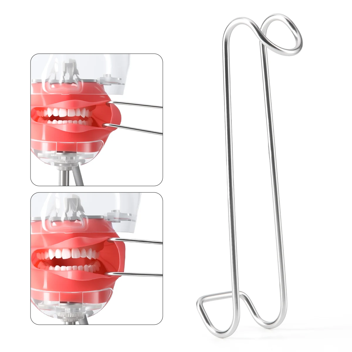 2PCS Set AZDENT Dental Lip Retractor Mund Erweitern Intraorale Wange Oberen Unteren Mund Öffner Edelstahl Zahnmedizin Werkzeug – Detail 5