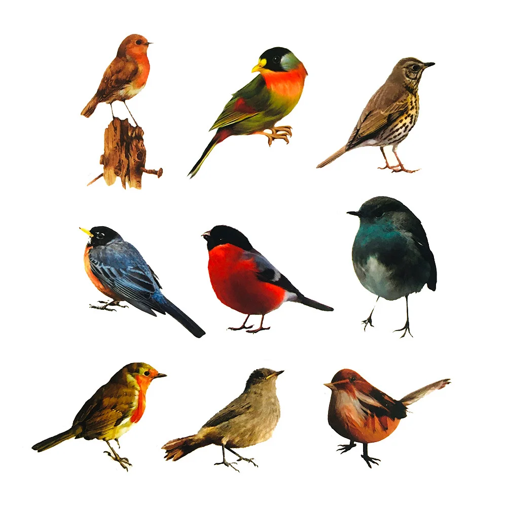 10/30/50PCS Realistic Color Robin Bird Cute Sticker For Toy Luggage Laptop IPad Cup Journal Phone Case Window Sticker Wholesale