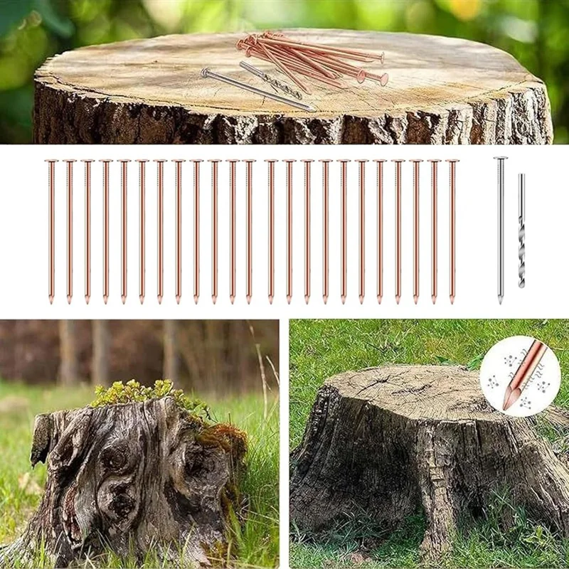 25Pcs Coppers Nails Tree Stump Killersbulk Stump Removal Spikes Hardware Nails For Trees Removing Stumps