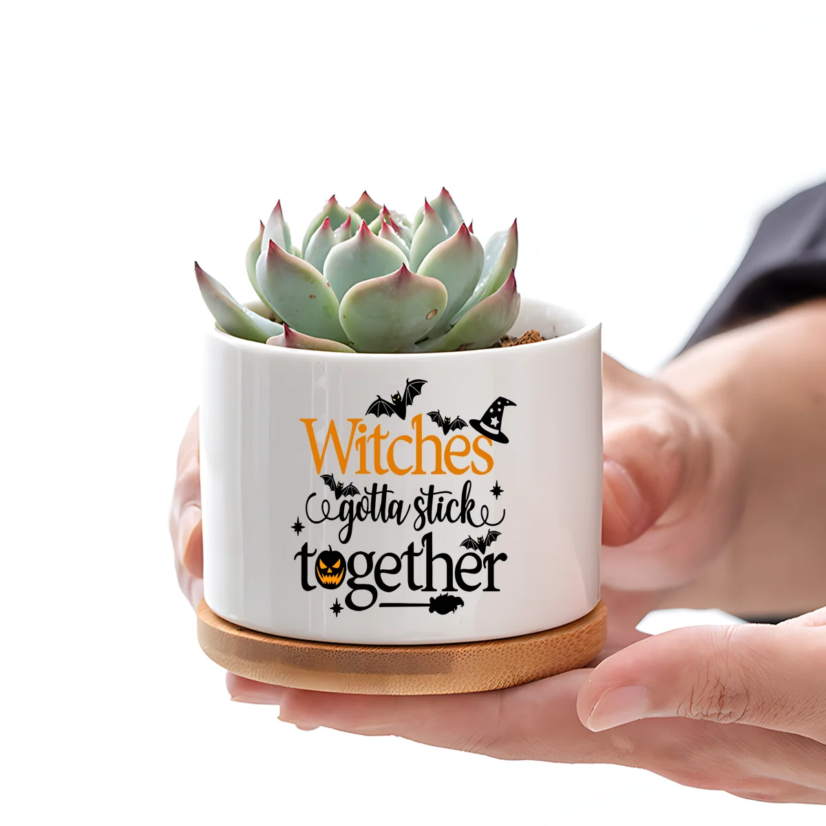 

Halloween witch ceramic flower pots, Halloween party gifts for ladies, sisters, friends and colleagues, desktop decoration