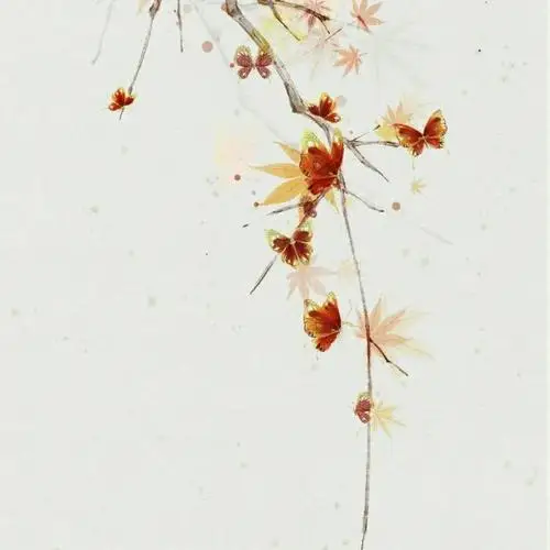 

4PCS POM 48P Spur Gear Main Gear 75T 78T 82T 85T 88T 90T for 3Racing Sakura S XI XIS CS D4 D5 1/10 RC Car Upgrade Parts