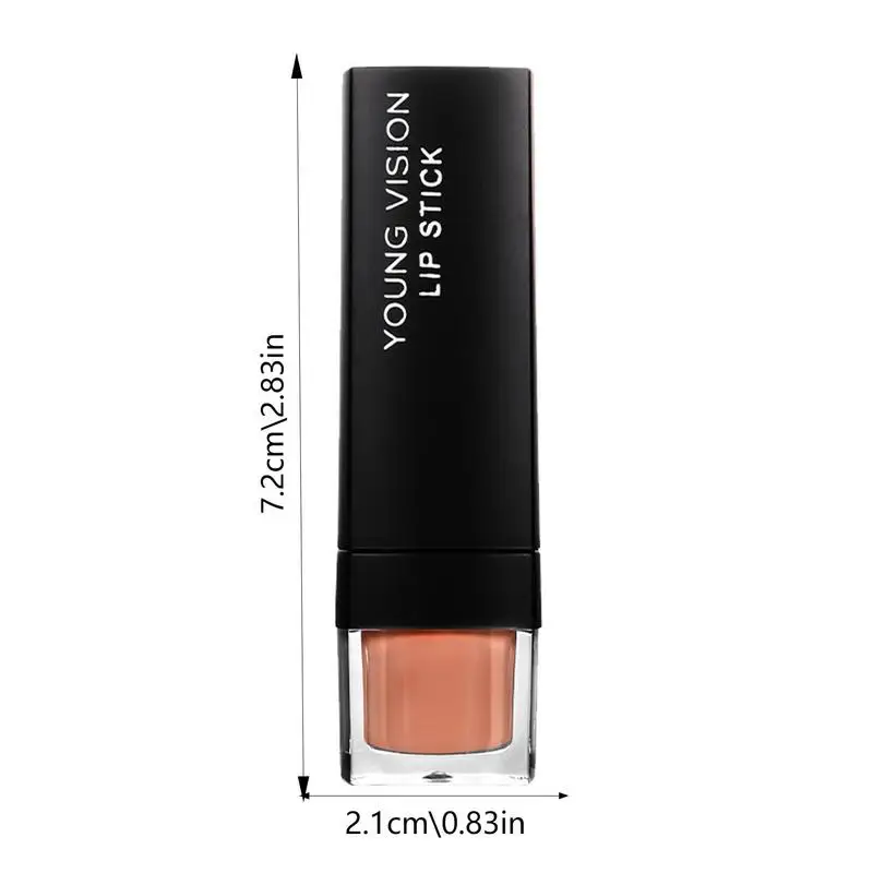 Matte Lip Stain 3g di lunga durata Waterproof Lip Stick Gloss per le donne No Fade Lip Makeup accessori per la festa incontri lavoro