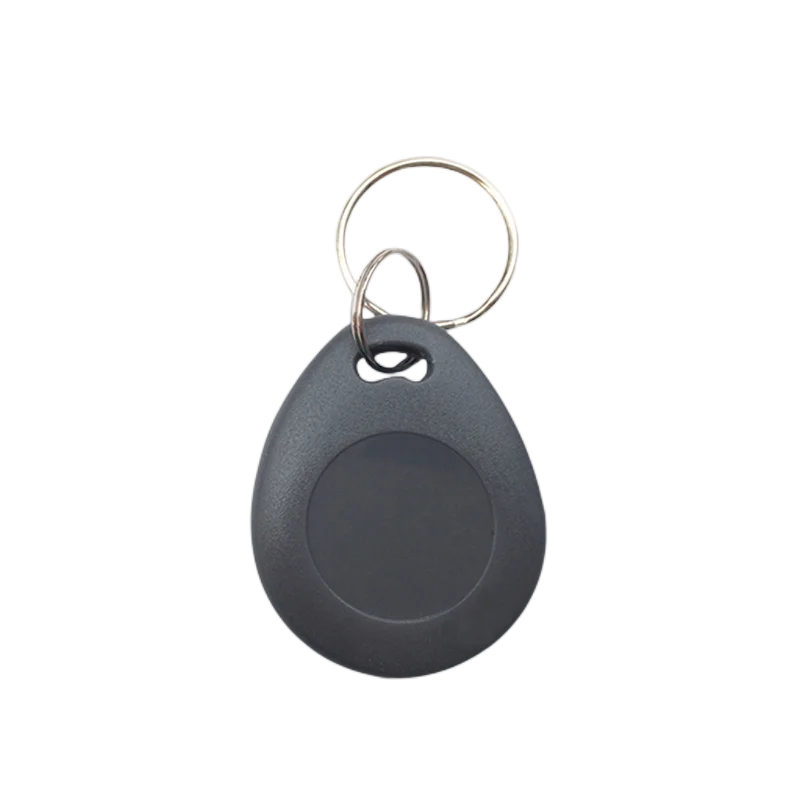 Gray TK4100 Smart Chip Card RFID Key Tag Quality Assurance Access Control Token EM4100 Read Only Badge 125Khz Ring 5Pcs