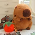 w orange shizi