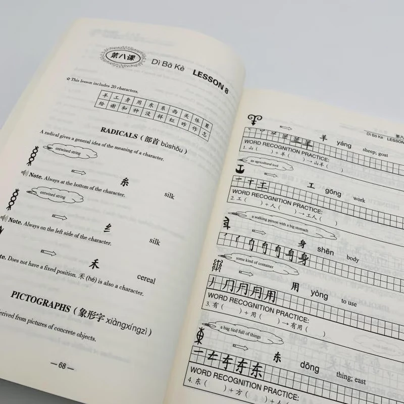 Picture 4: Reading And Writing Chinese Characters