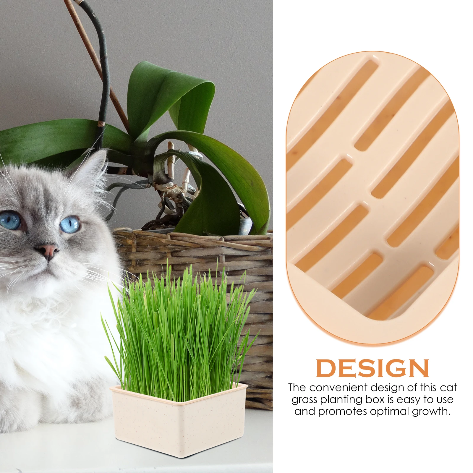 

Cat Grass Planter Hydroponic Small Nursery Box Plastic Watering Design Soilless Container Pets Home Use Cat Plant Box
