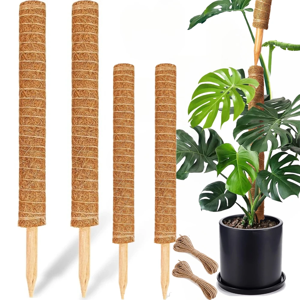 Moosstangen für Kletterpflanzen – Monstera Kokos-Totempfahl als Rankhilfe