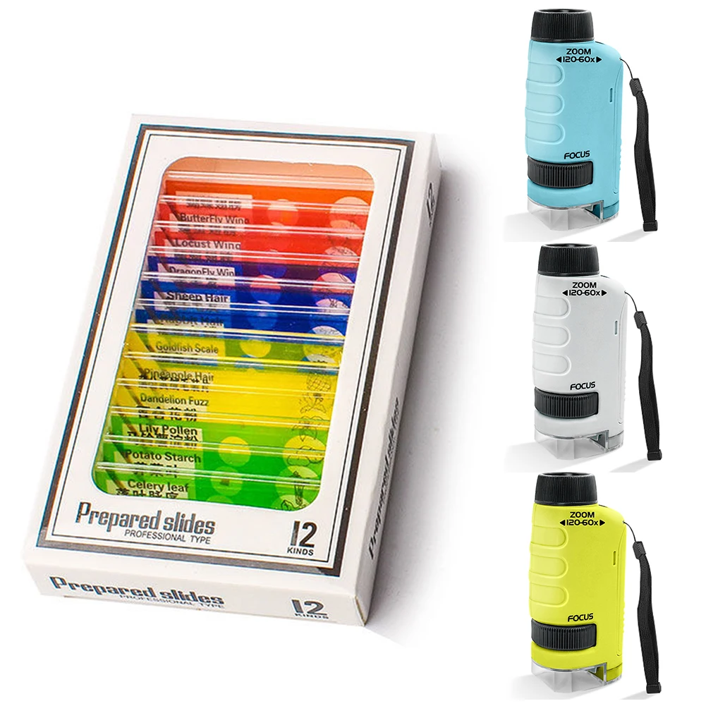 طفل العلوم تجربة مجهر الجيب مختبر مصباح ليد 60-120x بطارية تعمل بالطاقة المنزل مدرسة العلوم البيولوجية ألعاب تعليمية