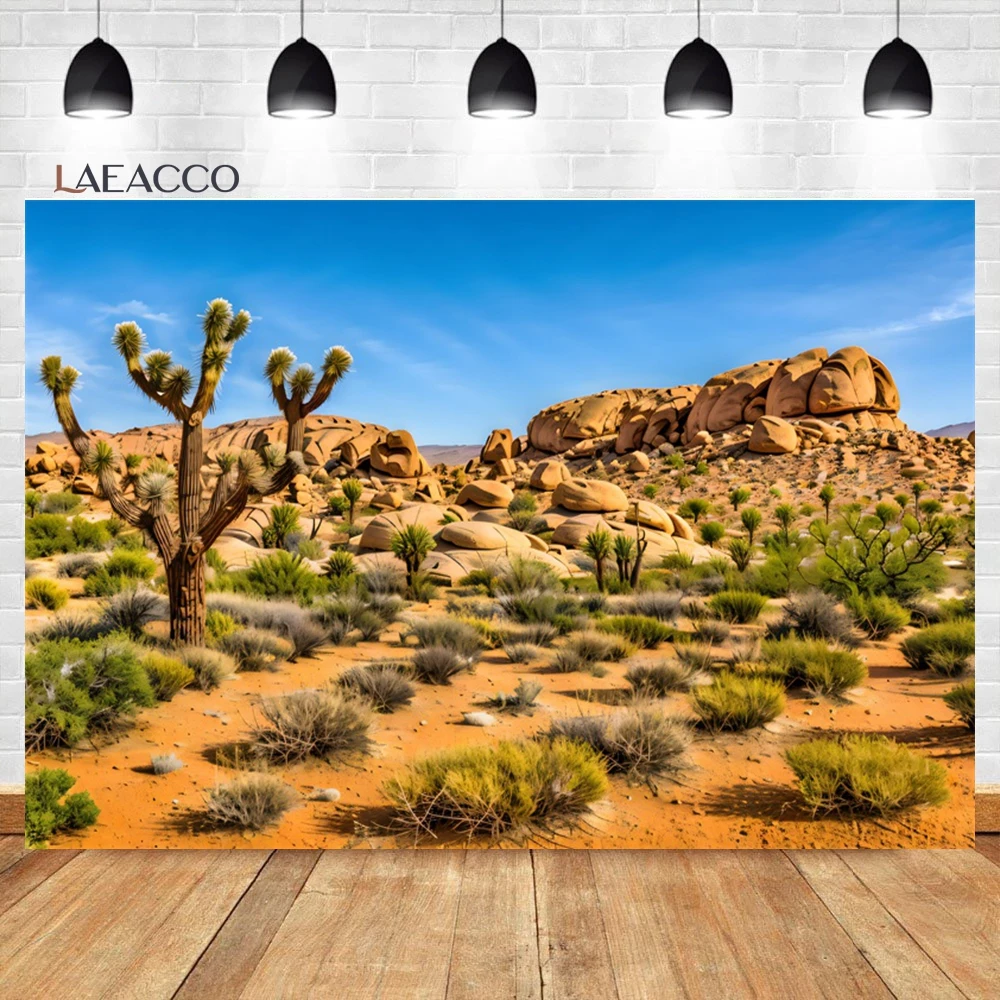 Laeacco Gobi Desert Huge Cactuses Wildness Weathered Mountains Scenic Background Interior Decor Portrait Photography Backdrop