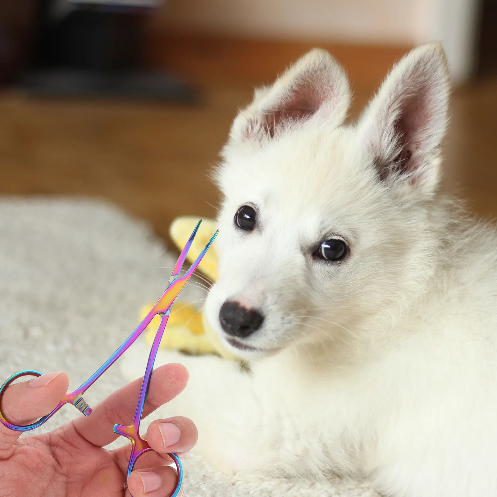 

Stainless Steel Hemostatic Forceps Pet Plucking Plier Cupping Therapy Dog Grooming Tool Large Size Ear Hair Remover Premium