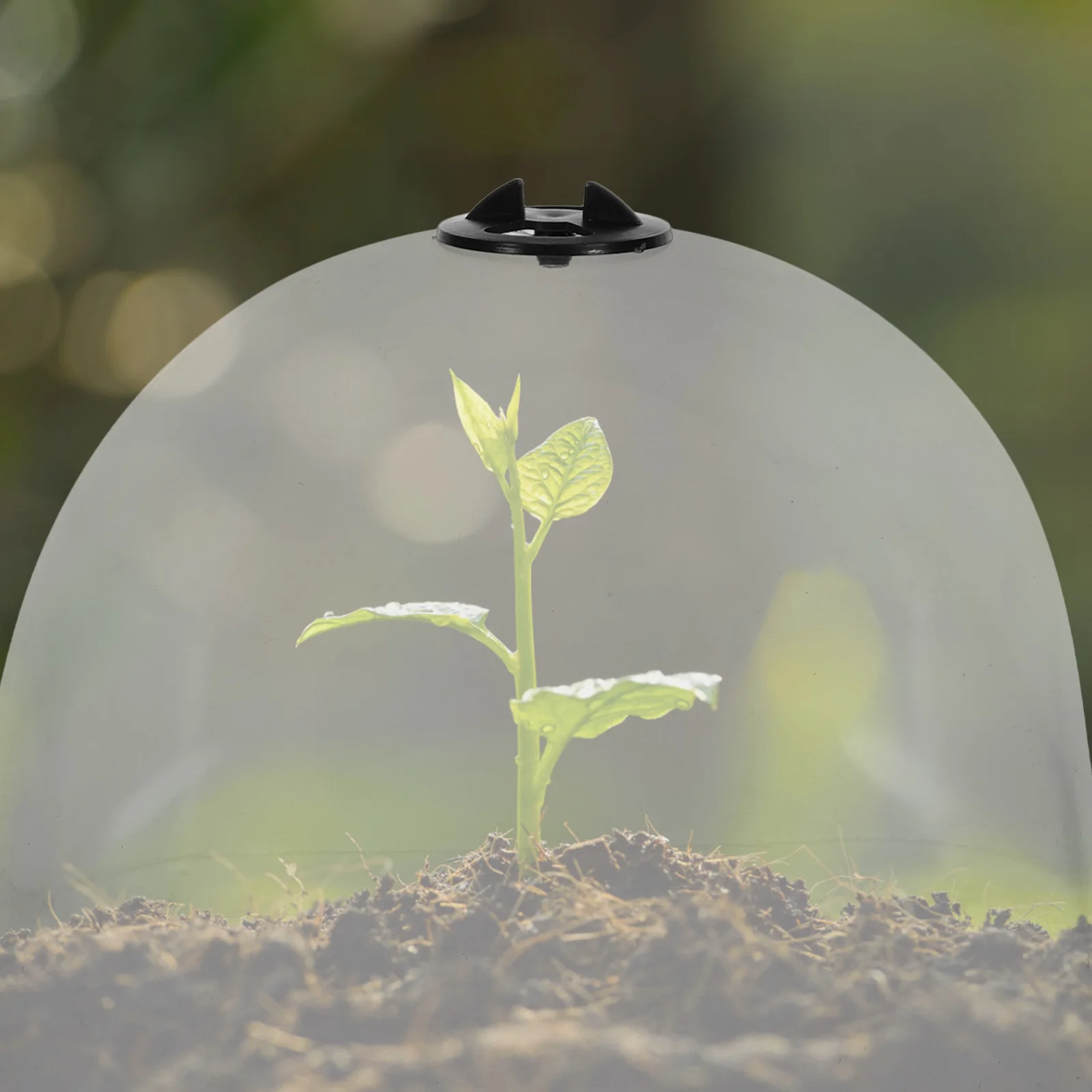 

6pcs Humidity Dome For Plants Plastic Garden Cloche Durable Plant Protector Frost Proof Cover Outdoor Gardening Tool Breathable