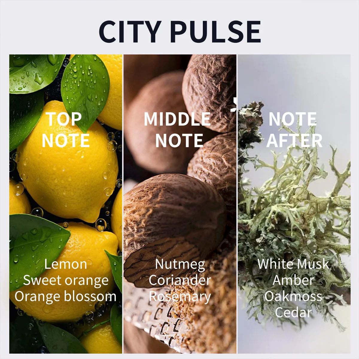 ラスター メンズ香水、50ml/1.7fl oz、ムスク＆レモンの香り、長時間持続する香り、デートに最適。 クリスマス/新年の贈り物。