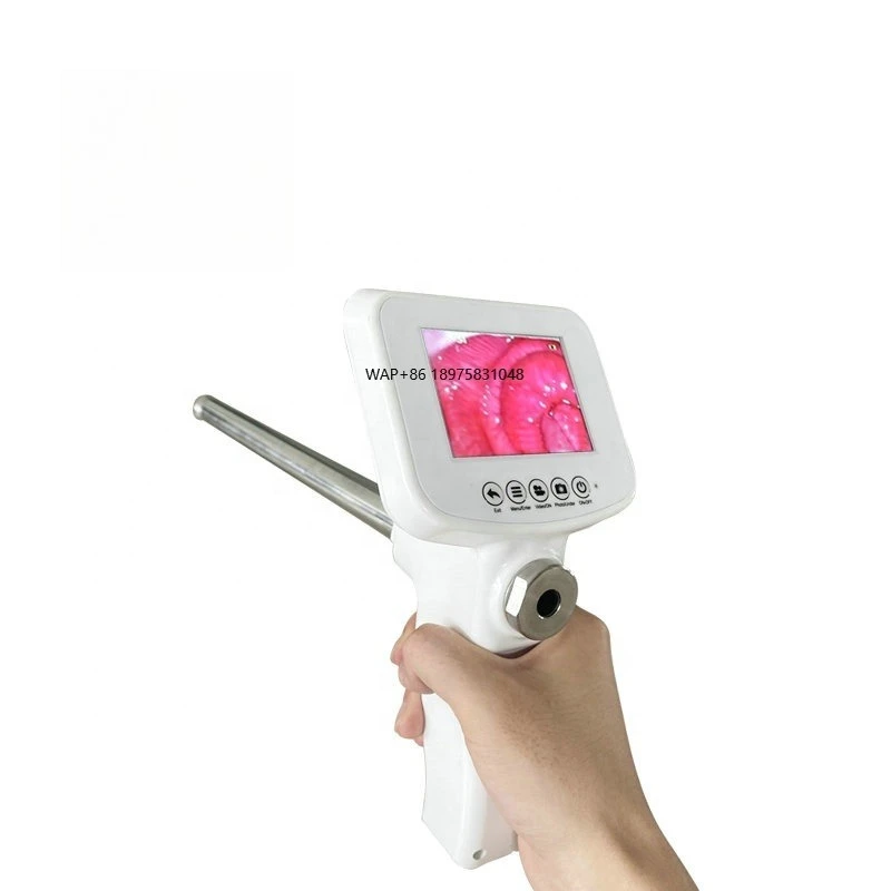 Peralatan inseminasi buatan sapi dan domba/Inseminasi hewan ternak sapi