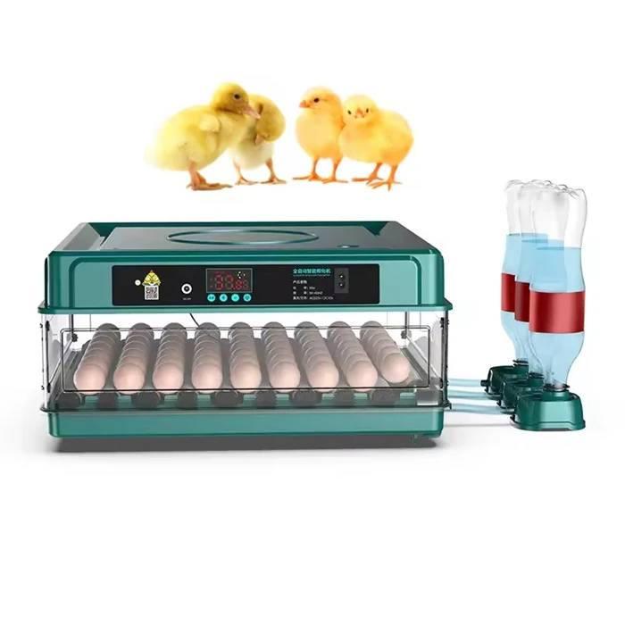 

Efficient And Multifunctional Automatic Incubator Egg Incubators For Sale Low Price
