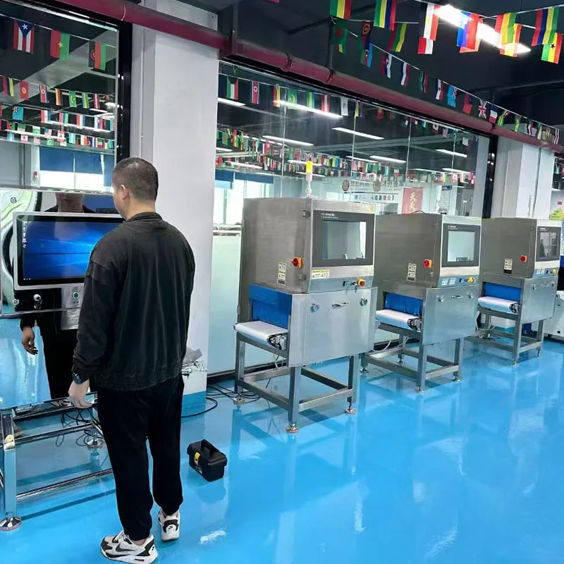 Food X-ray Machine Frozen Food  X-ray Foreign Body Detector Fried Chicken Food Ray Inspection Machine