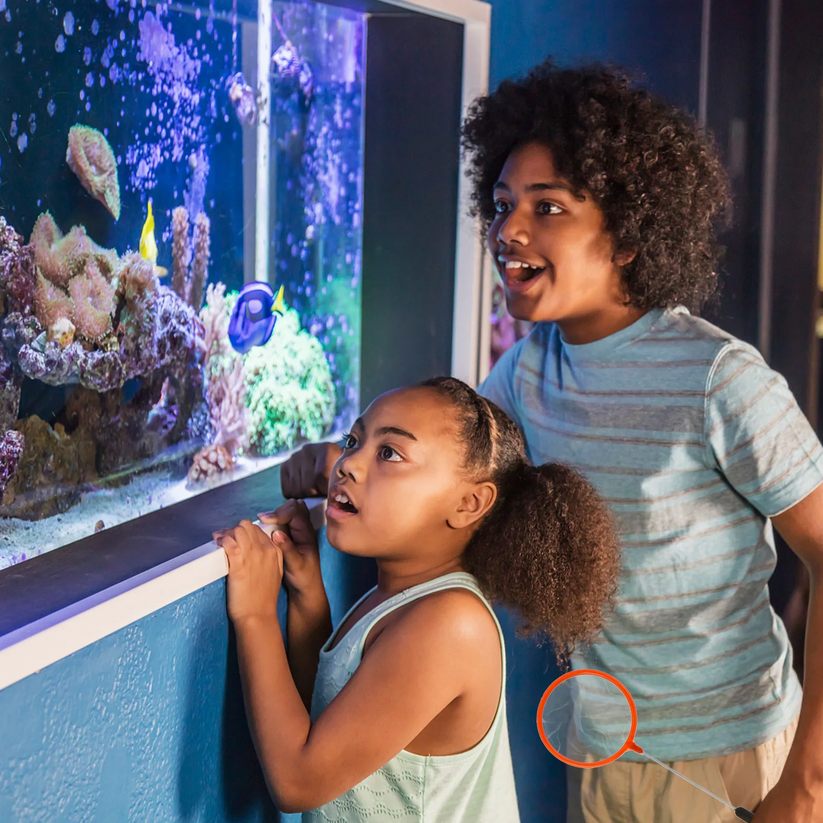 

HAPINARY Shrimp Net Fish Hatchery Accessory for Catch and Release Betta Tank Care Aquarium Tool