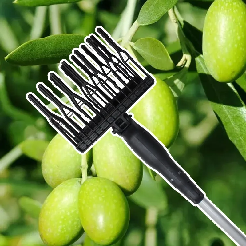 حصادة ريبر الزيتون الكهربائية مع مكون محرك أساسي بتصميم جديد #4