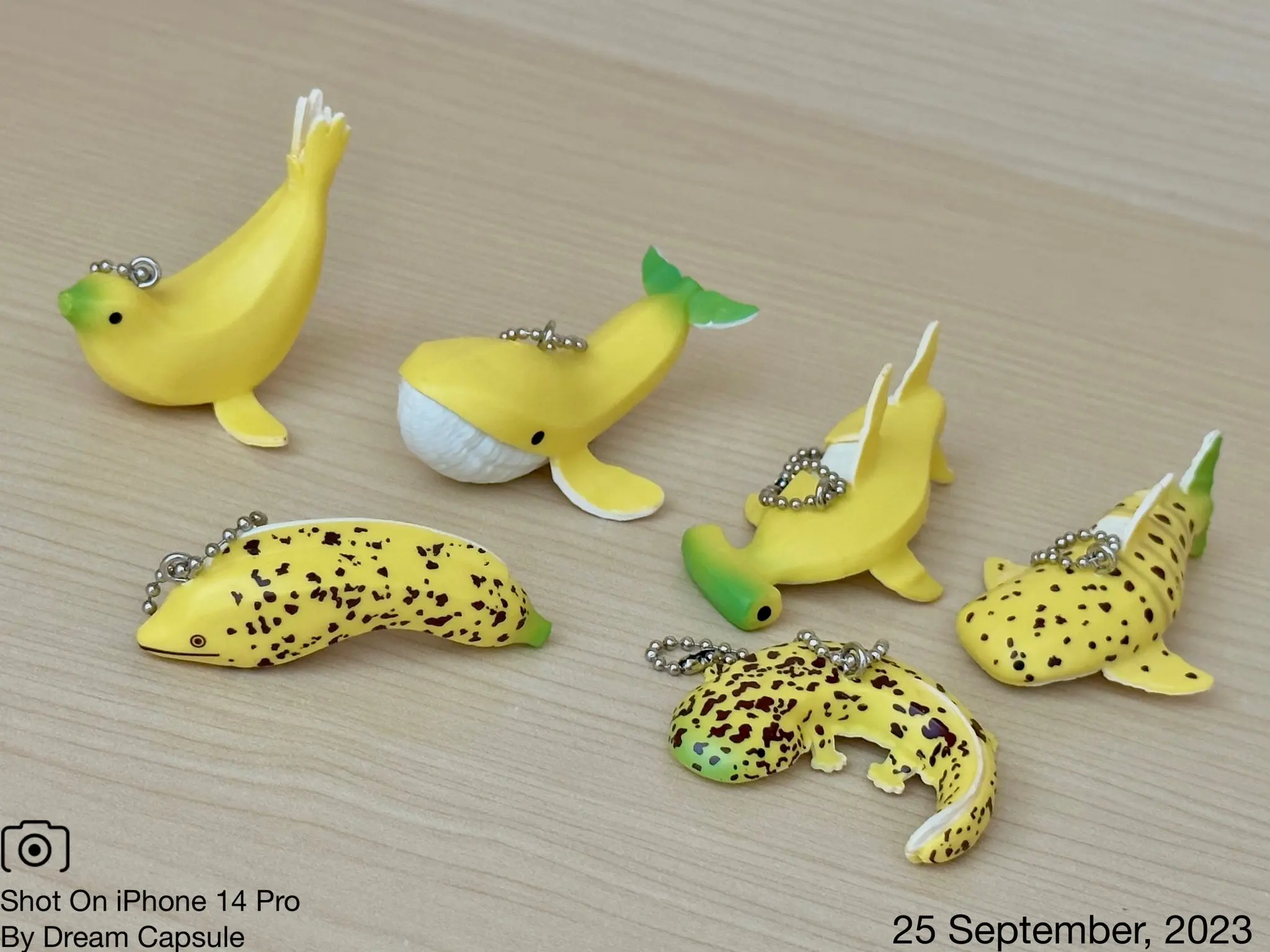 Qualia capsule toys Banana Animals Mascot Ball Chain 3 cute kawaii whale hammerhead shark sea lion salamander figures pendant