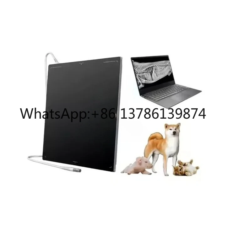 Veterinary Dr Flat … - image