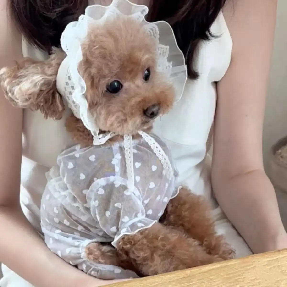 

Pet Cat Dog Dresses, Small Teddy Bear Maldives Poodle Outfit, Cute and Soft Dog Clothes for Small Dogs, Christmas Pet Clothes