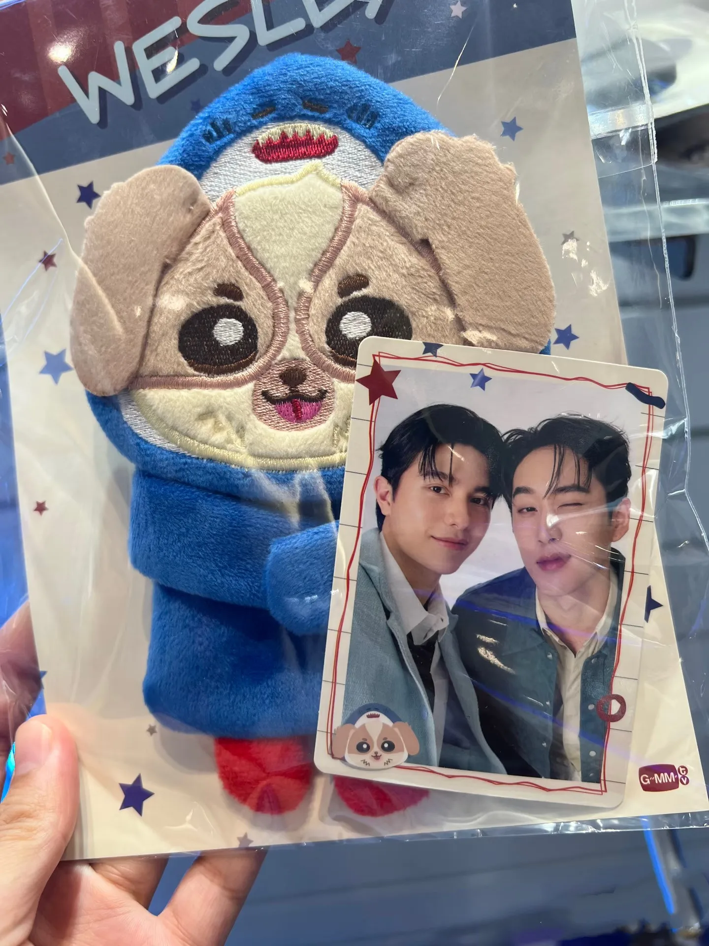 

2025 Official In Stock Thailand Star LYKN Thame - Po Heart That Skips a Beat WilliamEst Wesley Williamest Around Huggy Bag