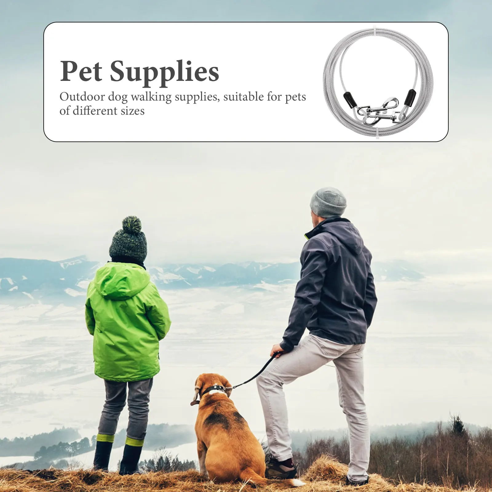 

Pet Steel Wire Traction Rope Leash For Dogs Heavy Duty Training Running Walking Outdoor Use Durable Lightweight Dog Leash