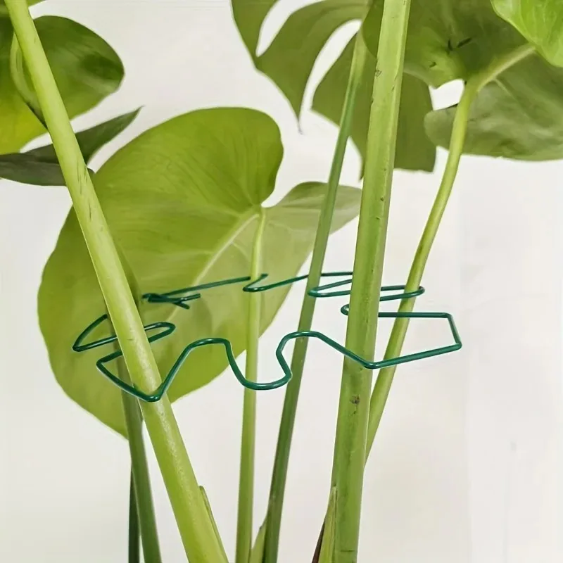 Soporte para Plantas, Estabilizador para Sostener Monstera y Flores