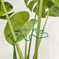 Plant Stabilizer Plant Holder For Supporting Monstera And Flowers Plant Support 2