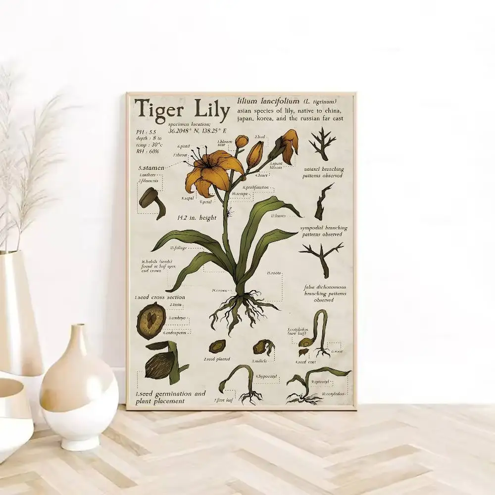 Butterfly Insect Flower Mushroom Poster  HD sticky wall waterproof home living room bedroom Dorm bar aesthetic decoration