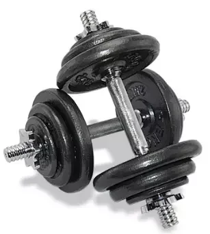 Wholesale High Quality Cast Iron Electroplating Weights Gym Fitness Barbel Dumbbell Weights 50 Kg Chrome Set