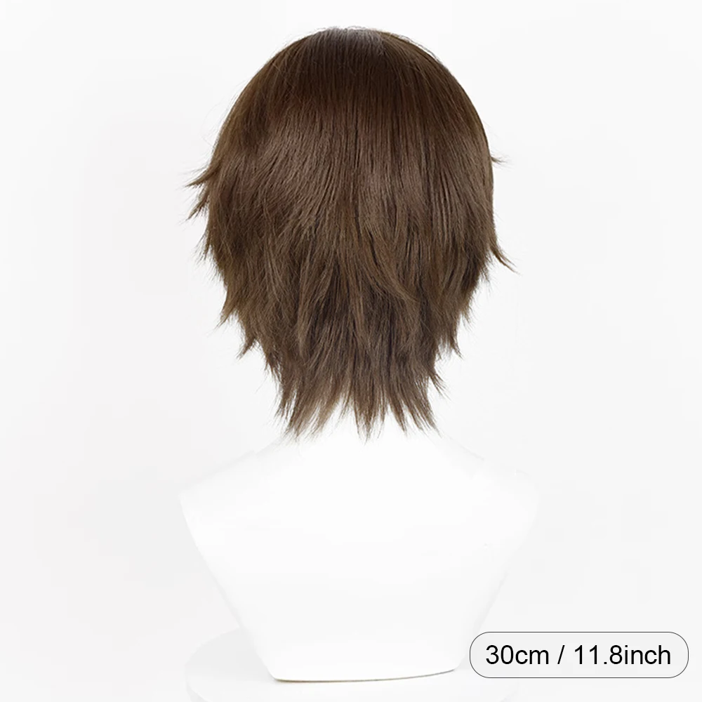 Brown Synthetic Short Straight Men Wigs Middle Part Anime Game Cosplay Fluffy Wig Heat Resistant for Daily Party