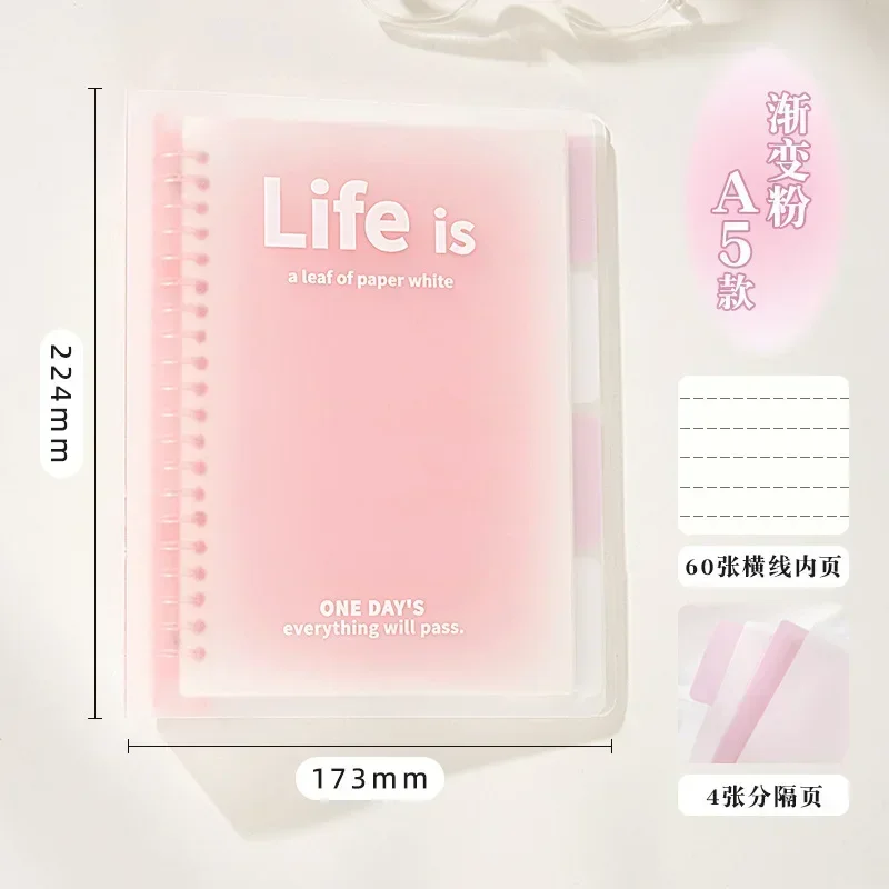 Gradient Loose-leaf Book B5 Notebook Ins Simple A5 Detachable Replacement Core High-value Handbook Examination Book