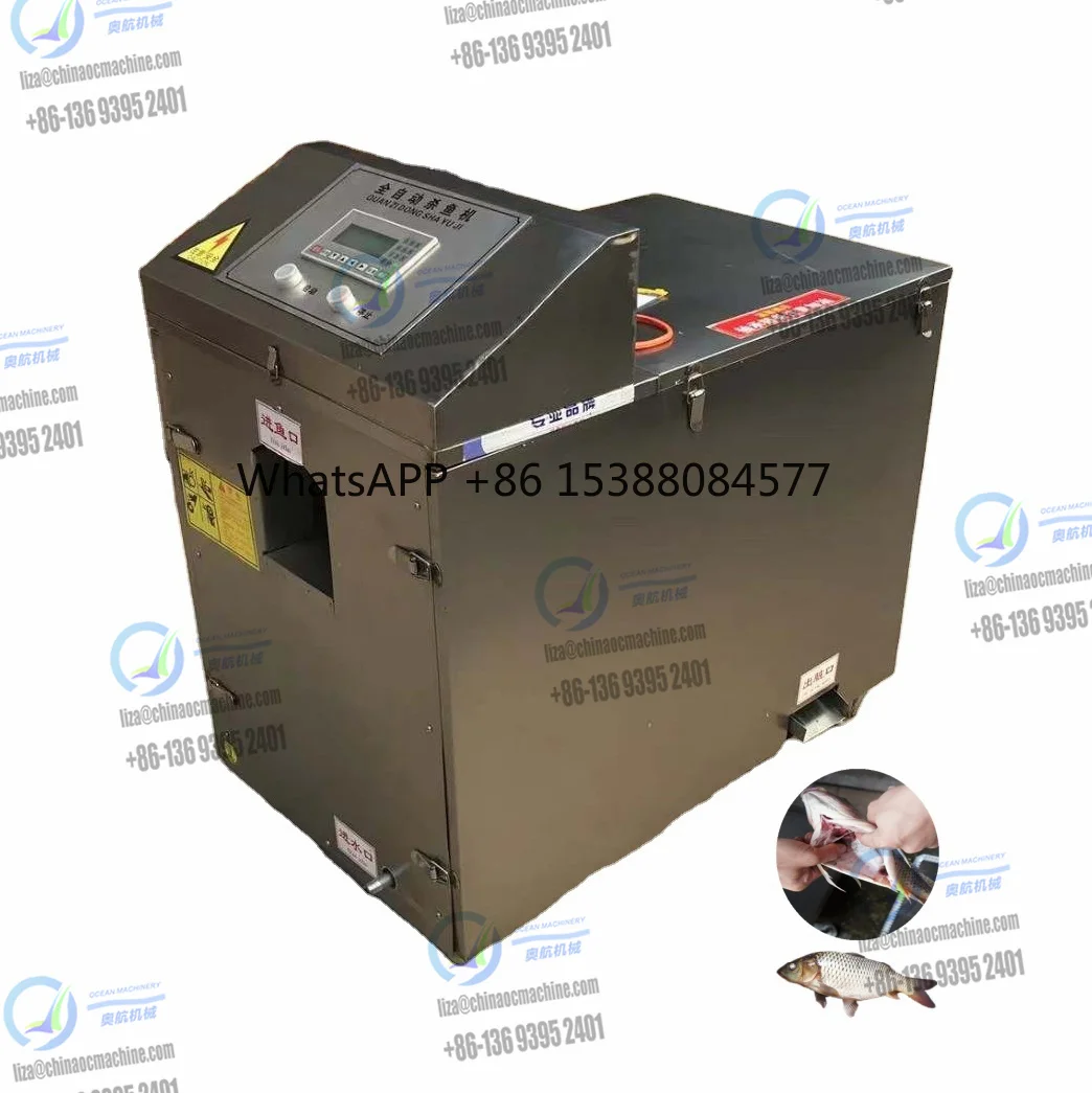 

Electric High Cutting Rate Customized Carp Trout Fish Killer Machine Fully Automatic Killing Machinery