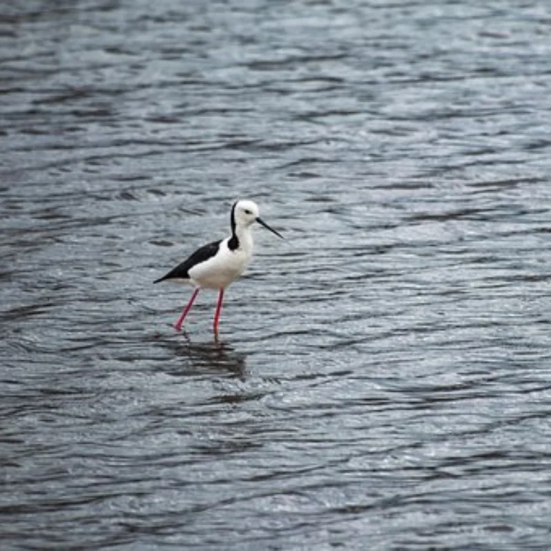 

1:24 металлический радиоуправляемый автомобильный прицеп грузовой багажник для Trx4m Scx24 Fms24 FMS18 DIY детали для обновления радиоуправляемого автомобиля аксессуары