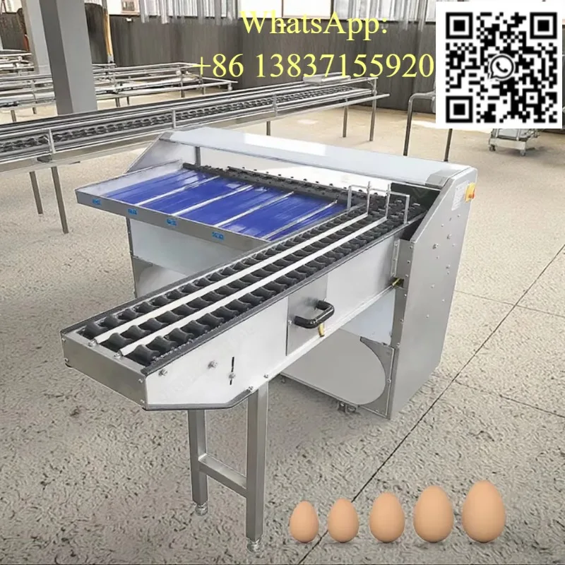 

Автоматическая машина для сортировки куриных яиц, высокоточная классификационная машина для яиц, для коммерческого использования на фермах