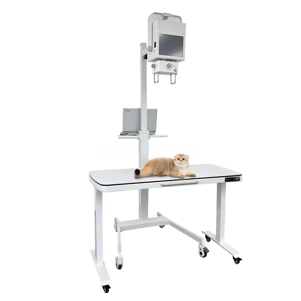 Veterinary Veterinary DigitalSystem All-in-One Head 5.6kW Power Steel