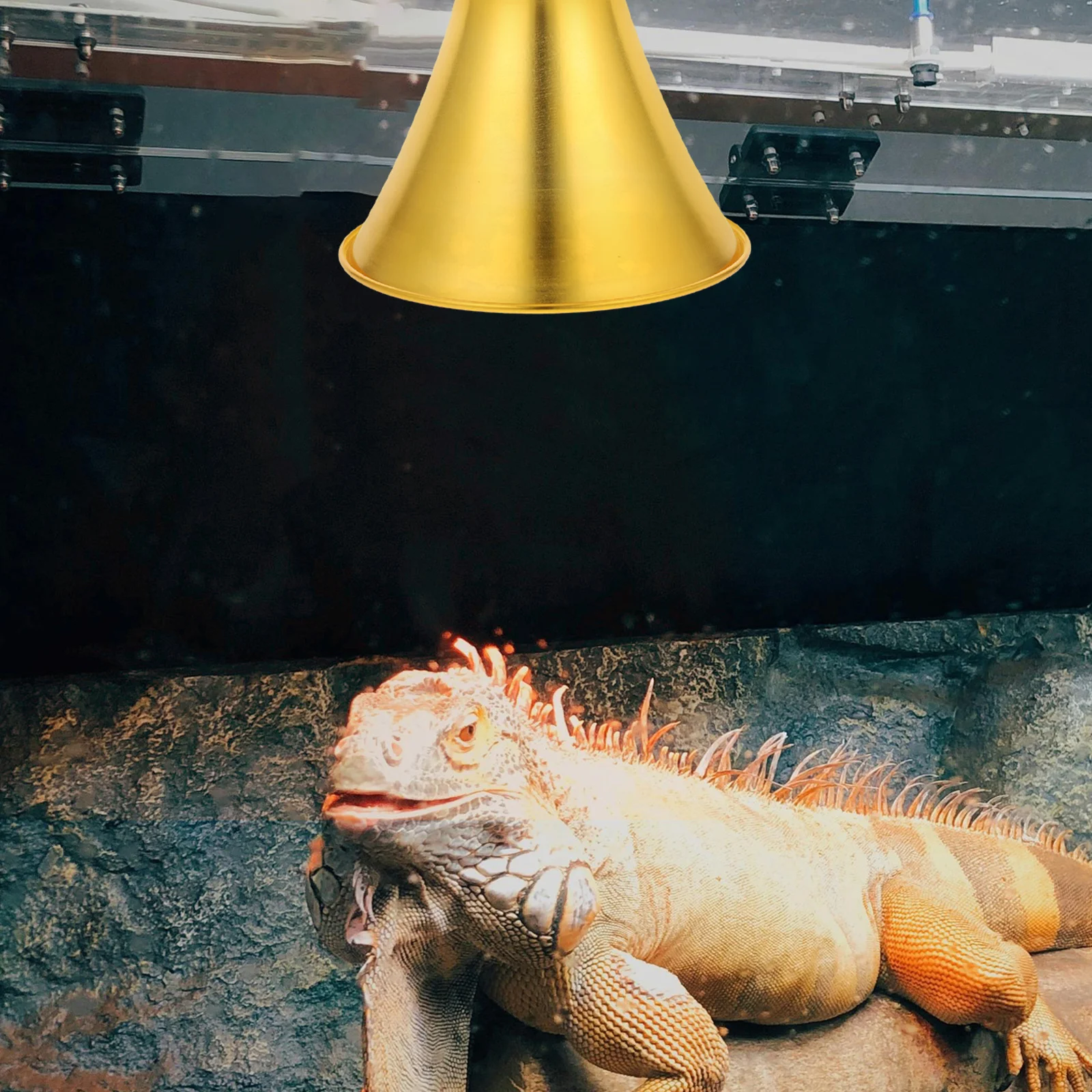 

Reptile Heat Lamp Shade Metal Reflector Insulated Basking Light Bulb Holder for Enclosure Turtle Habitat Reptile