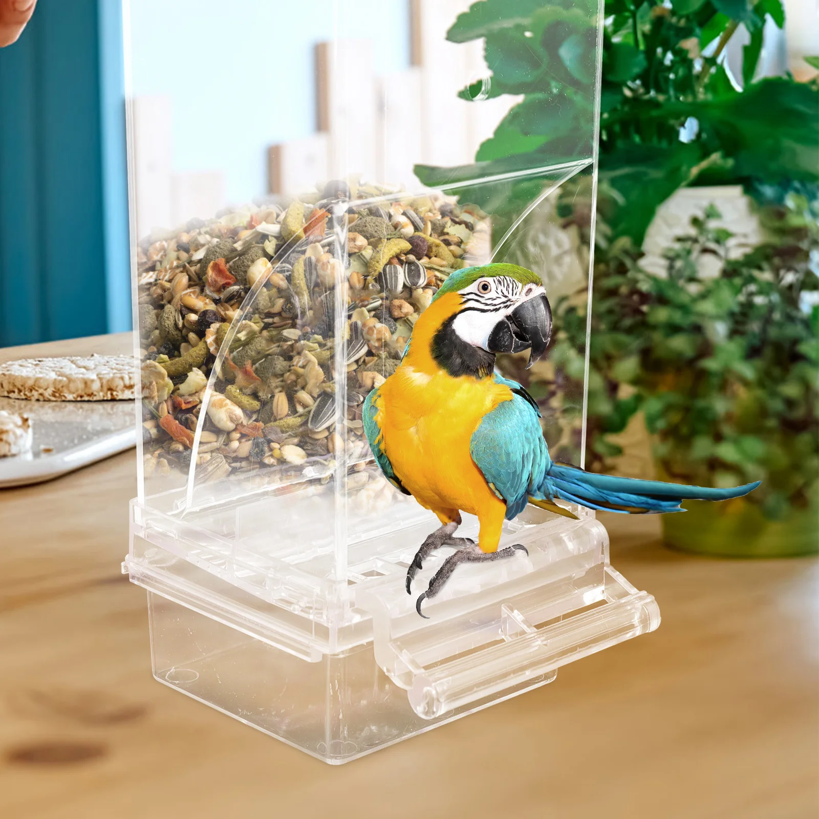 

Automatic Bird Feeder for Cage Premium Plastic Food Foraging Station Non-Slip Design Easy Clean Removable Lid for Parrot Canary