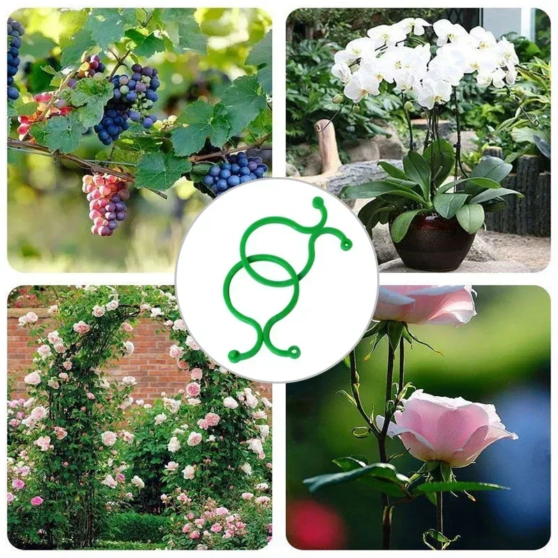 50/100 pçs jardim videira amarrando clipes planta vegetal tomate ligação clipe de fixação 8 palavra fivela jardinagem planta suporte ferramenta acessório