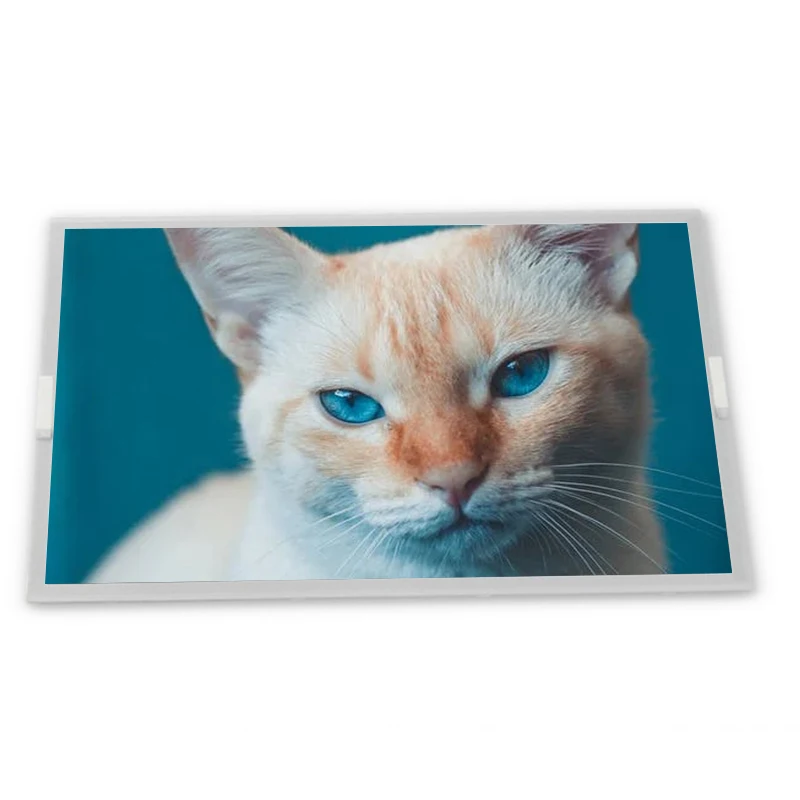 LQ057Q3DC03 5.7 320*240 TFT-LCD Display Screen Panel Zhiyan supply