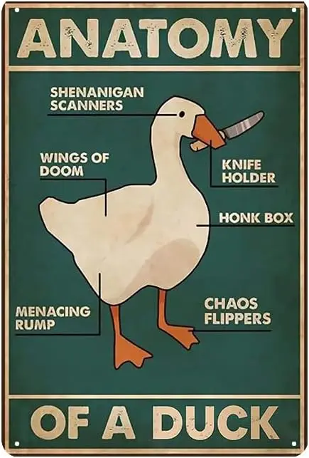 YOYI ART Panneau d'information amusant en métal sur le thème de l'anatole - Anatomie d'un canard, panneau vintage en fer blanc pour chambre à thème canard, chambre de bébé, cuisine, ferme