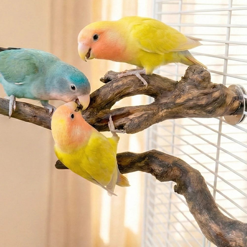 Soporte decorativo de resina para jaula con ramas para loros y aves - imagen 2