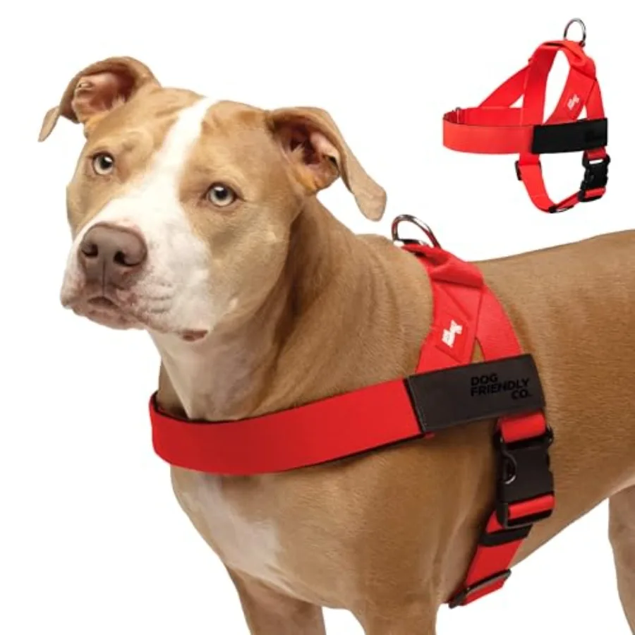 

Dog Harness | Chafe Resistant Webbing, Adjustable Neck & Chest, and Heavy Duty D-Ring | Sturdy, Comfortable, Easy to Use | Red,