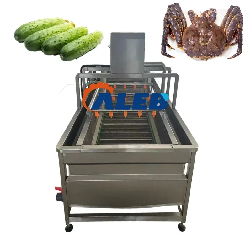 Automatic Fruit And Vegetable Cleaning Equipment Seafood Produce Washing Machine Meat Thawing Machine