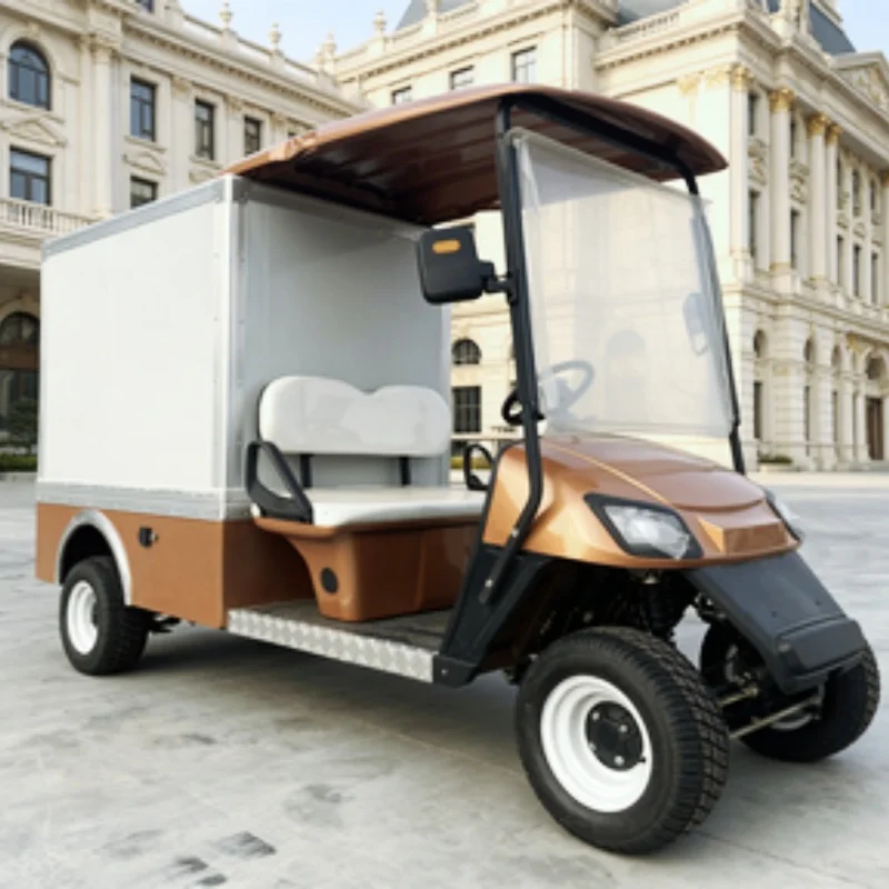 New Energy Rear Drive 60V 4000W 2 Seater Electric Golf Cart Club Cargo Car With 10-Inch Tires With Steel Rims Rear Cargo Box