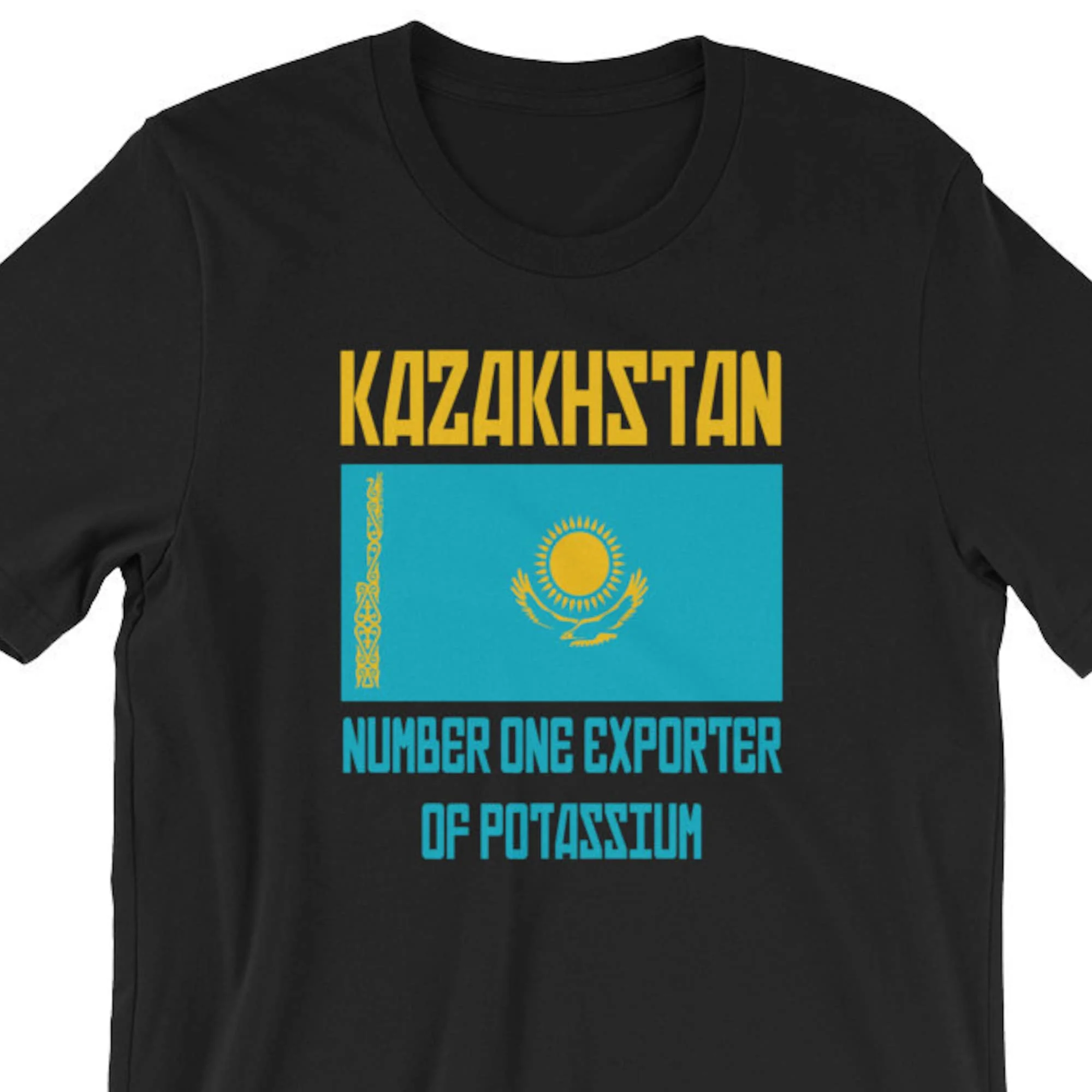 Kazakhstan T Shirt