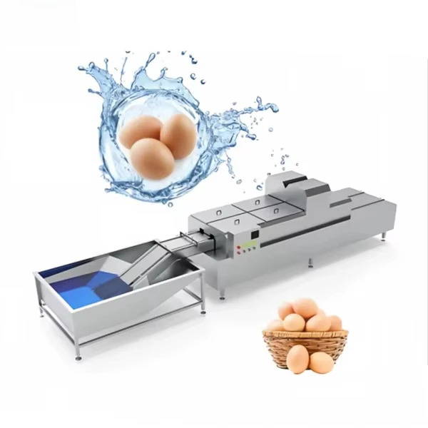 FOODLINE Continuous Conveyor Egg Washer Machine Wear‑resistant Parts For High Output Egg Production Plant