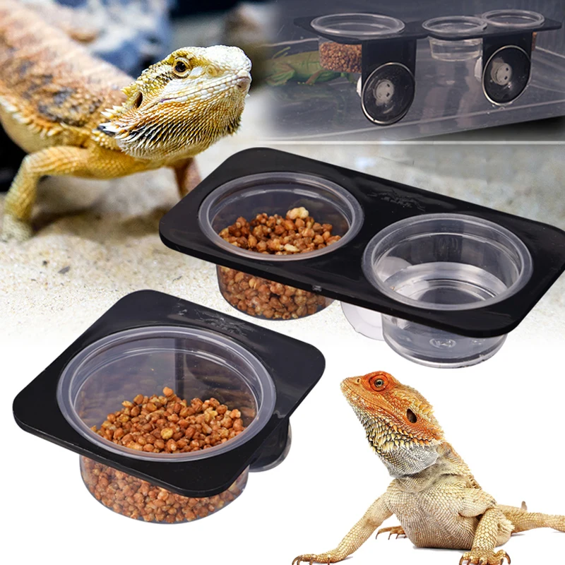 Reptile Feeder with Suction Cup Reptile Feeders Feeding Bowls  Food Container with Bowl for Reptile Food and Water Feeding