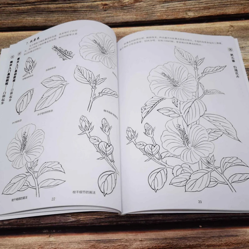 Chinese Line Drawing Starter Book Basic Chinese Gongbi Sketch Tutorial Book For Zero Base Beginners