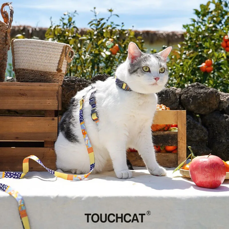 Touchcat Bubblegum Cat Leash I-Beam Corset Set Pet Cat Rainbow Portable Cartoon Anti-Tangle Leash Cat Slider Pet Accessories